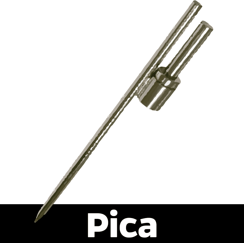 Pica