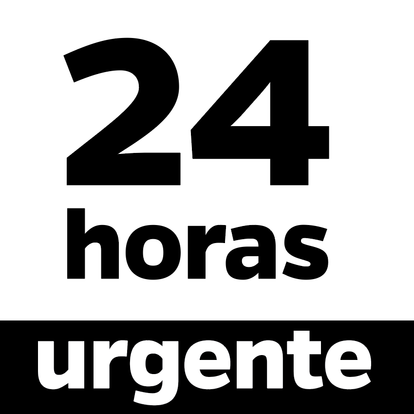 Prioritario, compro hoy y lo recibo en 24 horas
